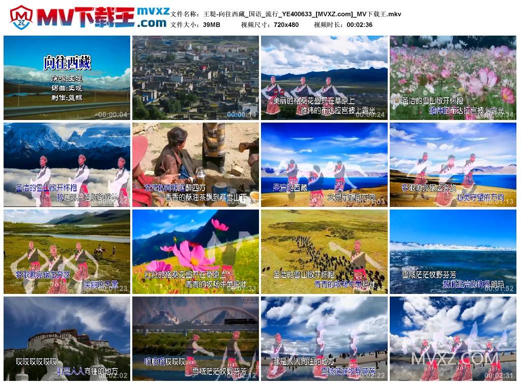 王堤-向往西藏_国语_流行_YE400633